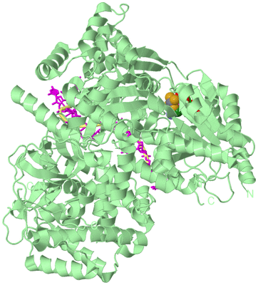 Image Biological Unit 2