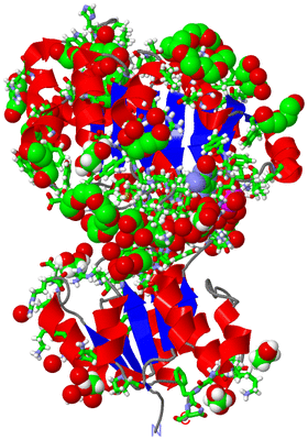 Image Asym. Unit - sites