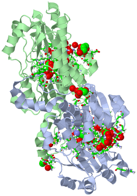 Image Asym./Biol. Unit - sites