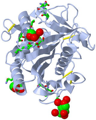 Image Biol. Unit 1 - sites