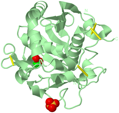 Image Biological Unit 2