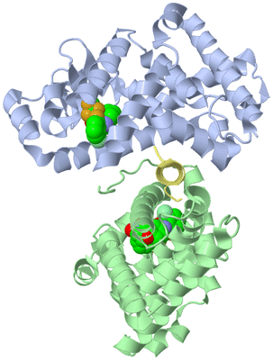 Image Asym./Biol. Unit