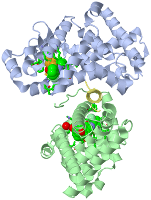 Image Asym./Biol. Unit - sites