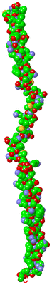 Image Asymmetric Unit