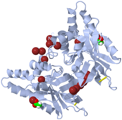 Image Biological Unit 1