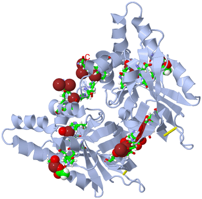 Image Biol. Unit 1 - sites