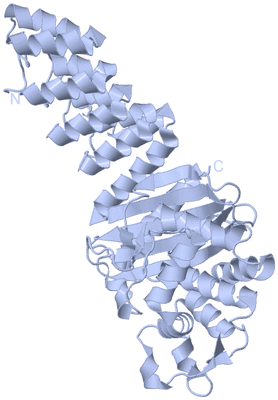 Image Biological Unit 1