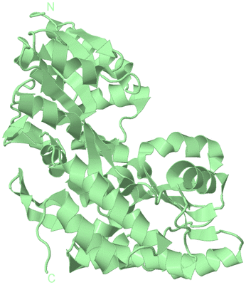 Image Biological Unit 3