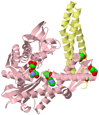 Image Biological Unit 2