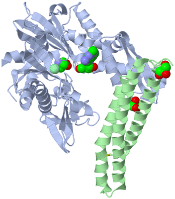 Image Biological Unit 1