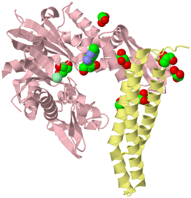 Image Biological Unit 2