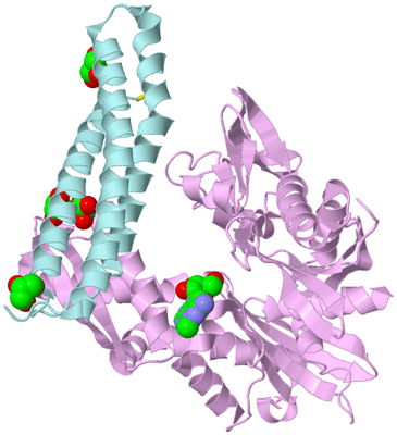 Image Biological Unit 3