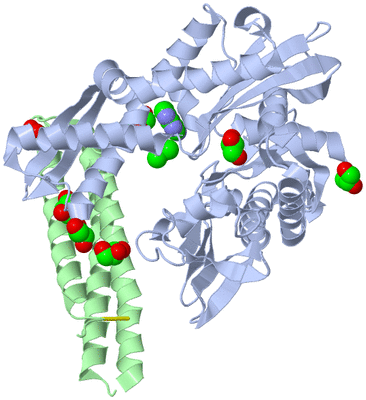 Image Asym./Biol. Unit