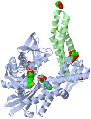 Image Biological Unit 1