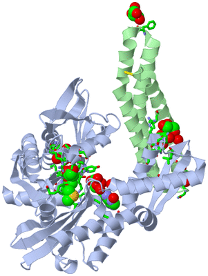 Image Biol. Unit 1 - sites