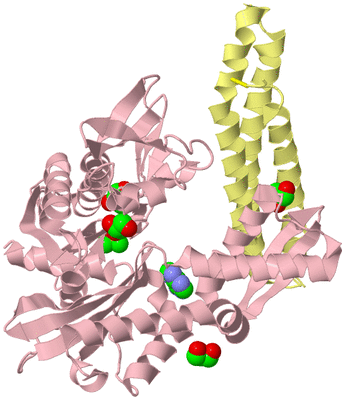 Image Biological Unit 2