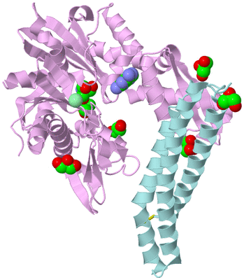 Image Biological Unit 1