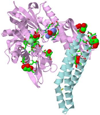 Image Biol. Unit 1 - sites