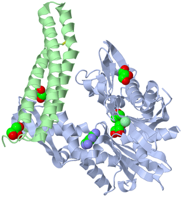 Image Biological Unit 2