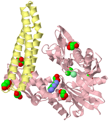 Image Biological Unit 3