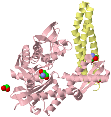 Image Biological Unit 2