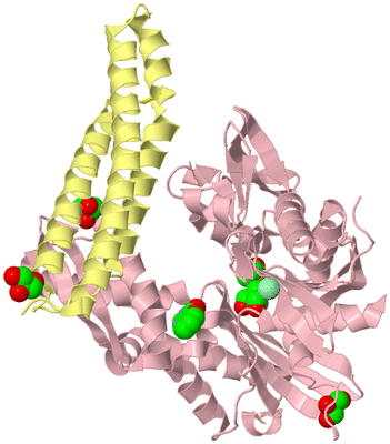 Image Biological Unit 2