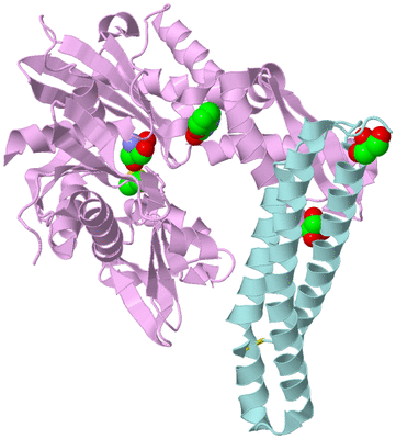 Image Biological Unit 3