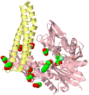 Image Biological Unit 2