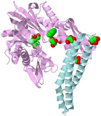 Image Biological Unit 3