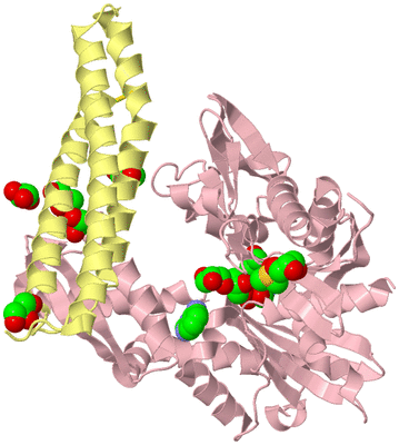 Image Biological Unit 1