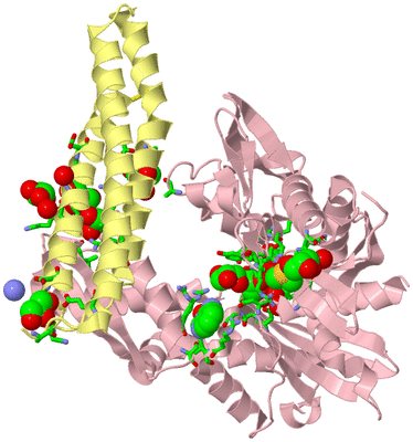 Image Biol. Unit 1 - sites