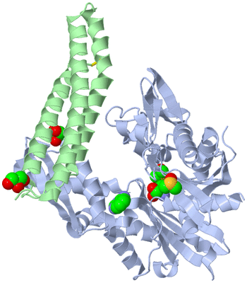 Image Biological Unit 3