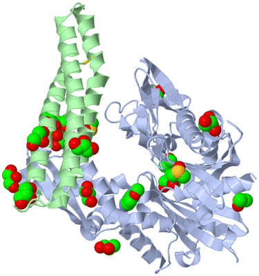 Image Biological Unit 1