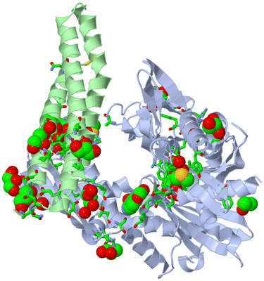 Image Biol. Unit 1 - sites