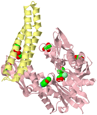 Image Biological Unit 2