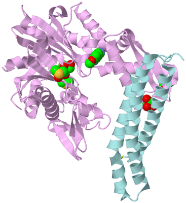 Image Biological Unit 3