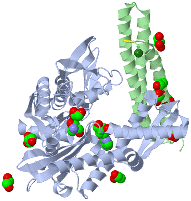 Image Asym./Biol. Unit