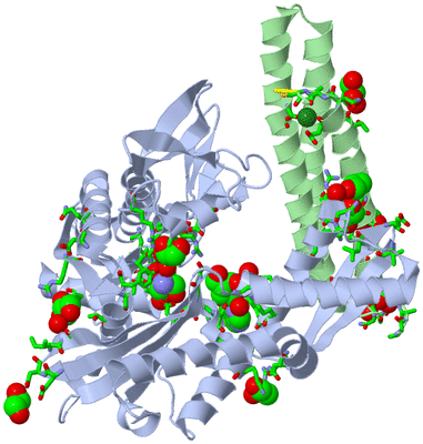 Image Asym./Biol. Unit - sites