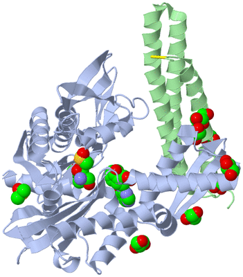 Image Asym./Biol. Unit