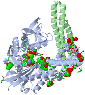 Image Asym./Biol. Unit - sites