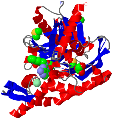 Image Asym./Biol. Unit