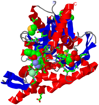 Image Asym./Biol. Unit - sites