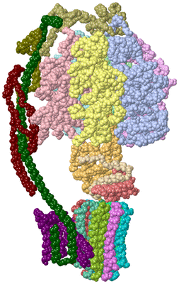 Image Asym./Biol. Unit