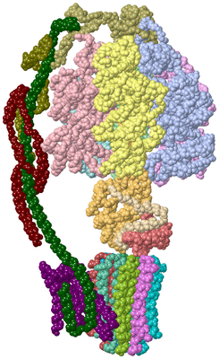 Image Asym./Biol. Unit