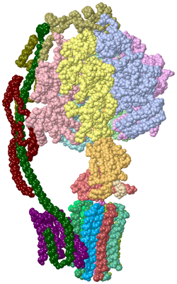 Image Asym./Biol. Unit