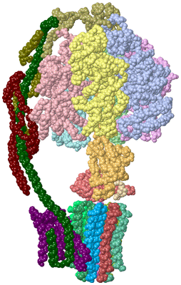 Image Asym./Biol. Unit