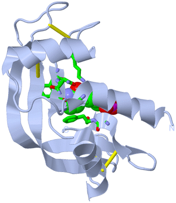 Image Biol. Unit 1 - sites