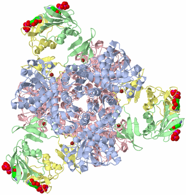 Image Biological Unit 1