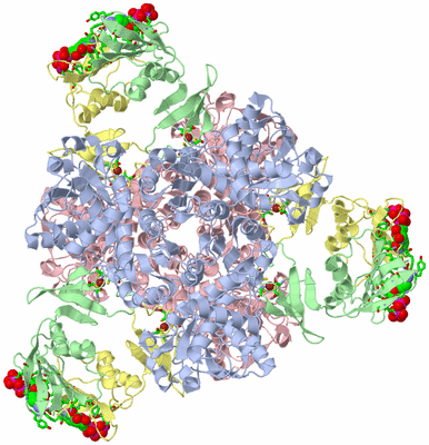 Image Biol. Unit 1 - sites