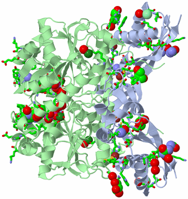 Image Biol. Unit 1 - sites